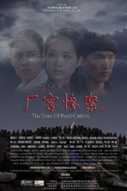 厂窖惨案 2010 on netflix