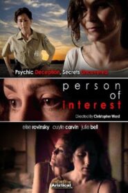 Person of Interest 2007 on netflix