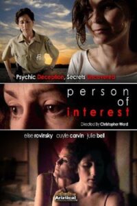 Person of Interest 2007 on netflix