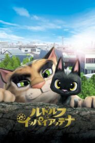 Rudolf the Black Cat 2016 on netflix