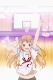 Tsubasa and Hotaru 2014 on netflix