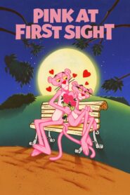 The Pink Panther in ‘Pink at First Sight’ 1981 on netflix