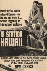 M Station: Hawaii 1980 on netflix