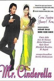 Mr. Cinderella 2002 on netflix