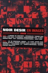 Noir Désir – En images 2005 on netflix