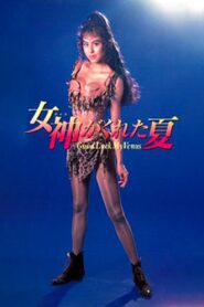 Good Luck My Venus 1990 on netflix