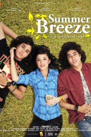 Summer Breeze 2008 on netflix