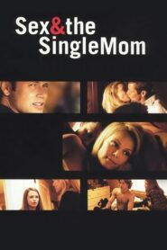 Sex & the Single Mom 2003 on netflix