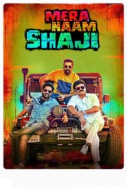 Mera Naam Shaji 2019 on netflix