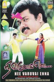 Nee Varuvai Ena 1999 on netflix