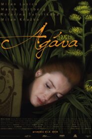 Agáva 2016 on netflix