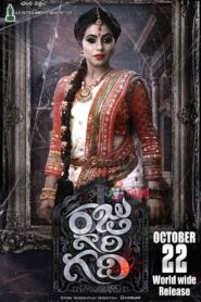 Raju Gari Gadhi 2015 on netflix