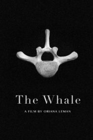 The Whale 2020 on netflix