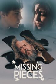 Missing Pieces 2012 on netflix