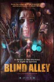 Blind Alley 2011 on netflix