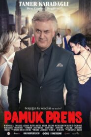 Pamuk Prens 2016 on netflix