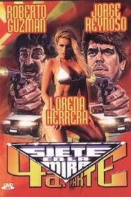 Siete en la mira 4: Yo soy la ley 1991 on netflix