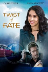 Twist of Fate 2016 on netflix