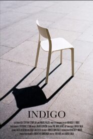 Indigo 2017 on netflix