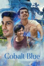 Cobalt Blue 2022 on netflix