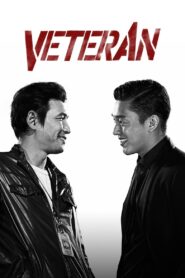Veteran 2015 on netflix