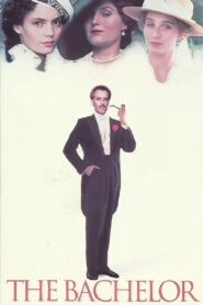 The Bachelor 1990 on netflix