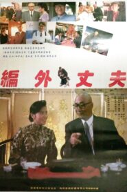 编外丈夫 1993 on netflix