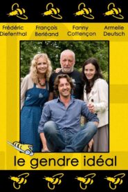 Le Gendre idéal 2008 on netflix