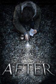 After 2012 on netflix