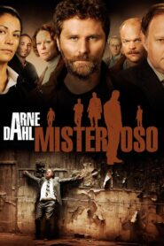 Arne Dahl: The Blinded Man 2011 on netflix