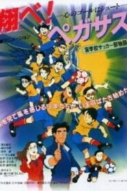 Tobe! Pegasus Kokoro no Goal ni Shoot 1995 on netflix