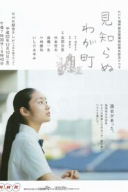 Stranger in My Town 2011 on netflix