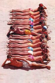 Private Resort 1985 on netflix
