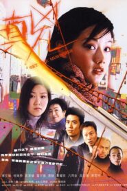 Get the Murderer 2003 on netflix