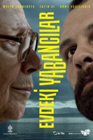 Strangers in the House 2013 on netflix