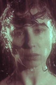 Petals 1990 on netflix