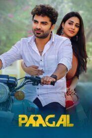 Paagal 2021 on netflix