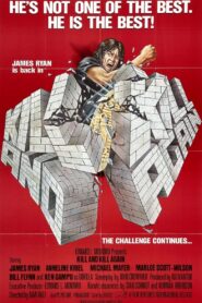 Kill and Kill Again 1981 on netflix