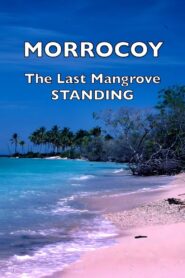 Morrocoy: The Last Mangrove Standing 2000 on netflix