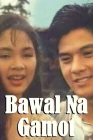 Bawal Na Gamot 1994 on netflix