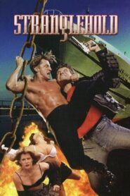 Stranglehold 1994 on netflix