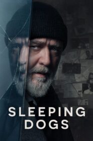 Sleeping Dogs 2024 on netflix