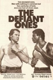 The Defiant Ones 1986 on netflix