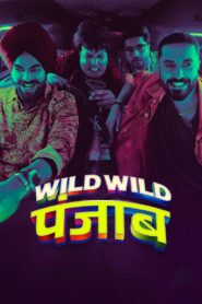 Wild Wild Punjab 2024 on netflix