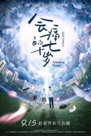 Growing Pains 2017 on netflix
