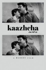 Kaazhcha 2004 on netflix