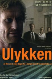 The Accident 2009 on netflix