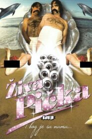 Let 3 – Pussy Alive 2008 on netflix