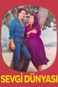 Sevgi Dünyası 1980 on netflix