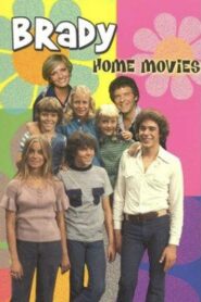 Brady Bunch Home Movies 1995 on netflix